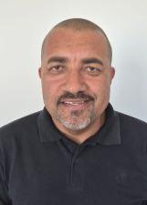 Fotografia oficial de HAMILTON TATU